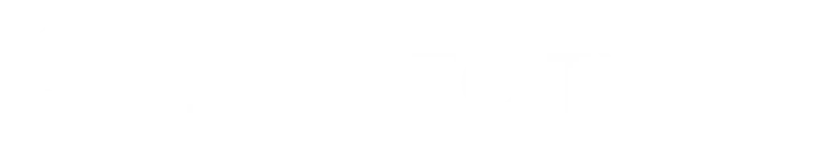 Stereo Types Logo